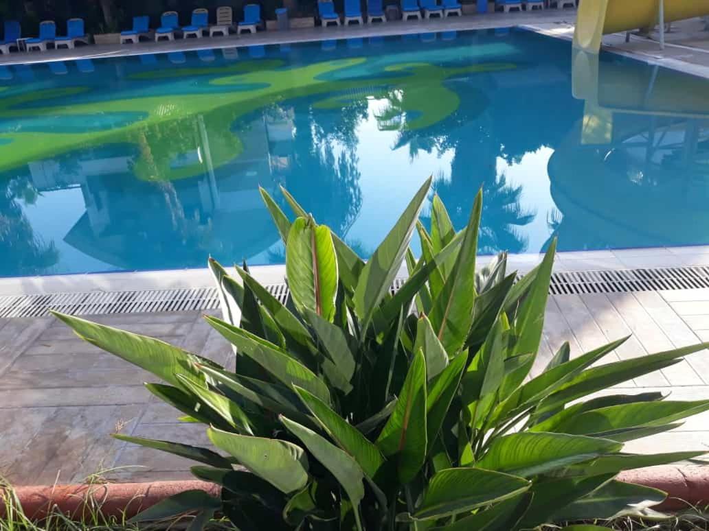 Club Jovia Kemer Hotel Анталия Екстериор снимка