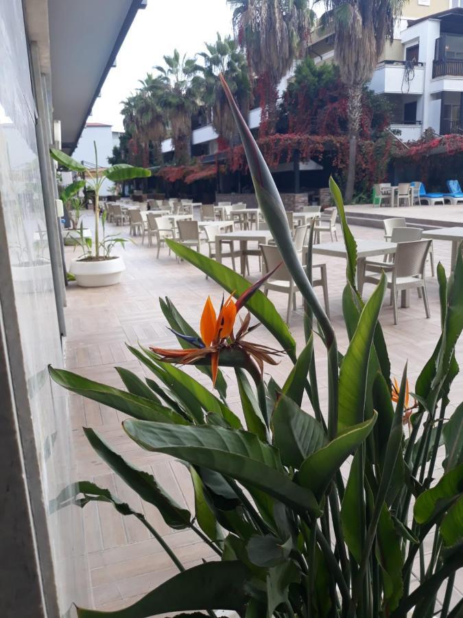 Club Jovia Kemer Hotel Анталия Екстериор снимка