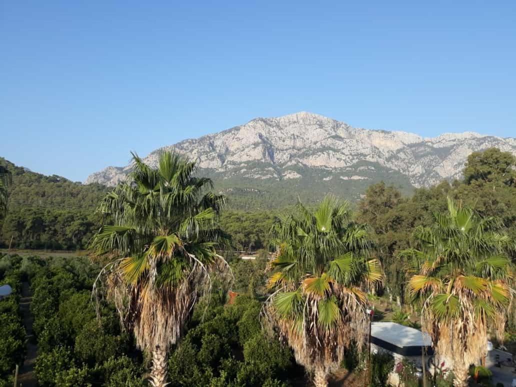 Club Jovia Kemer Hotel Анталия Екстериор снимка
